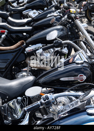 Vertical shot of a line of parked mostly black Harley Davidson motorcycles at an event Stock Photo
