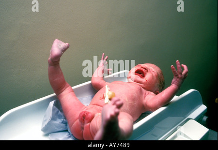 Crying newborn baby being weighed. Stock Photo