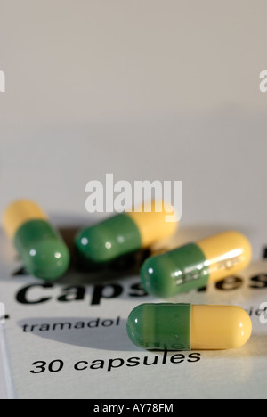 50mg Tramadol hydrochloride painkiller capsules Stock Photo