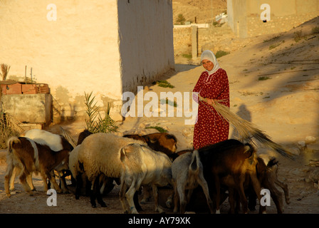 Shepherdess in Matmata Tunisia Stock Photo