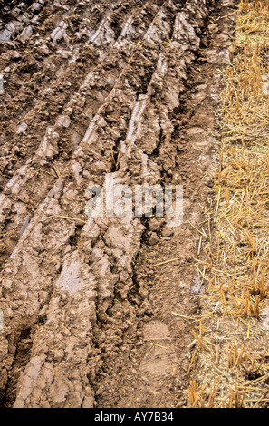 Ploughing. Ploughman's Footprint in the 'sole of the furrow', Heavy horses ploughing. In those days they only ploughed 4 inches deep. Stock Photo