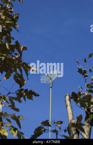 vertical image of antenna on tall pole hidden behind trees outdoors against clear blue sky Stock Photo