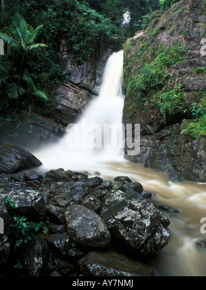 Cascada La Mina in El Yunque National Park Puerto Rico Stock Photo