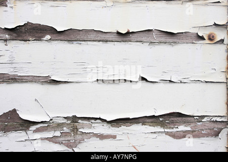 Old white paint peeling of wood perfect for designs or backgrounds Stock Photo