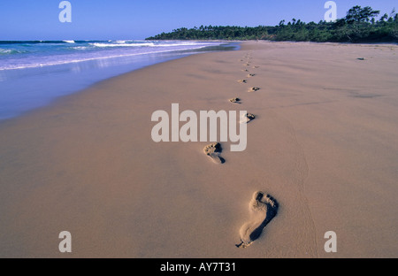 Footprints in the sand, Beach at Morrungulo, Mozambique Stock Photo