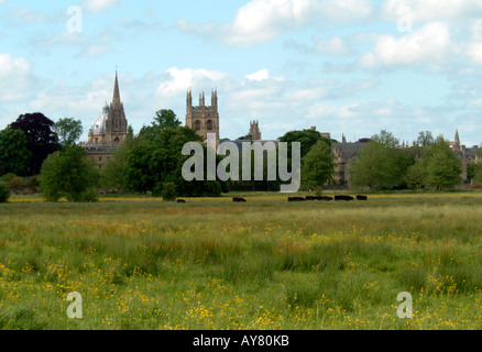 Merton College and St Marys Church from Christ Church Meadow Stock Photo