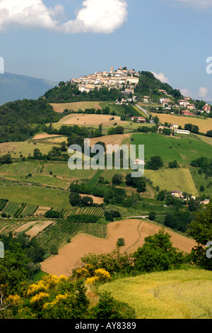 typical undulating patchwork countryside of le Marche ,The Marches,Italy Stock Photo