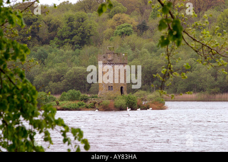 Co Fermanagh Crom Estate Crighton Tower on Upper Lough Erne Stock Photo