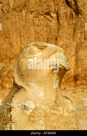 The Mortuary Temple of Queen Hatshepsut in Egypt with statue of the Horus the Hawk god Stock Photo