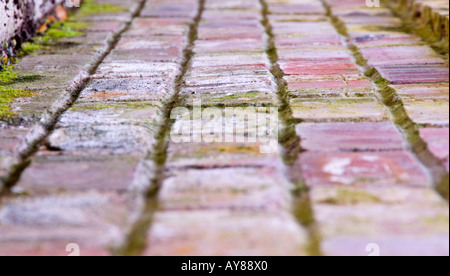 Colourful bricks receding shallow focus horizontal Stock Photo