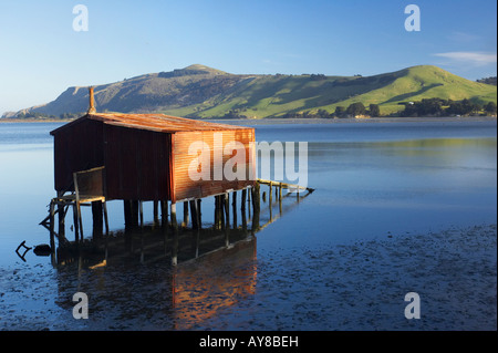 Boat Shed Hoopers Inlet Otago Peninsula Dunedin South Island New Zealand Stock Photo