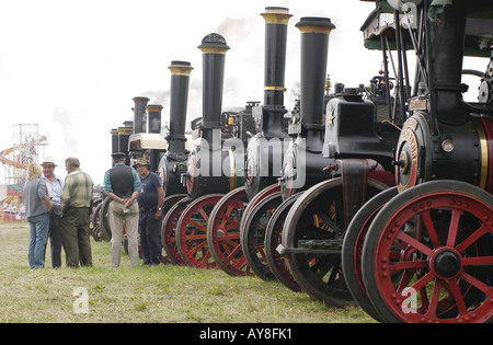 Traction engines in line at Weeting Steam Rally Norfolk UK Stock Photo