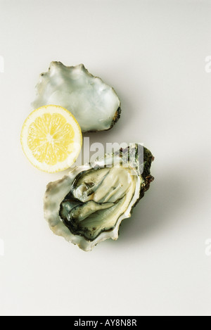 Raw oyster and lemon slice, high angle view Stock Photo