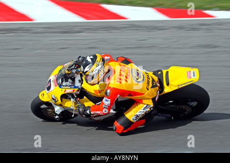 Guy Martin British Superbike Team Hydrex Bike Animal Honda Cbr 1000RR Fireblade Stock Photo