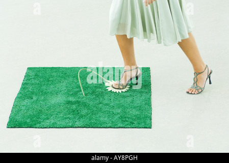 Woman stepping on artificial turf, crushing gerbera daisy with foot, cropped view Stock Photo