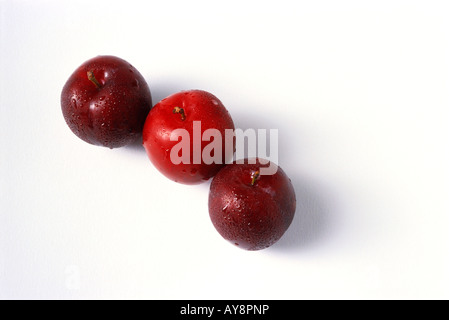 Three plums in a row, close-up Stock Photo