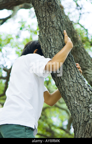 Boy climbing tree, low angle view Stock Photo