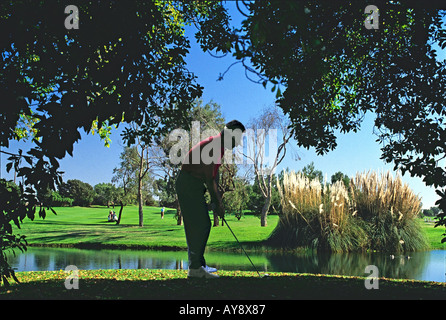 Sea Cliff Country Golf Club, Huntington Beach, CA teeing off under trees over pond, water, par 3 Stock Photo