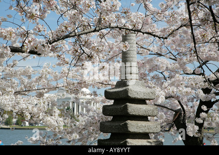 Japanese Monument, cherry blossom, Tidal Basin, Jefferson Memorial, Washington DC, USA Stock Photo