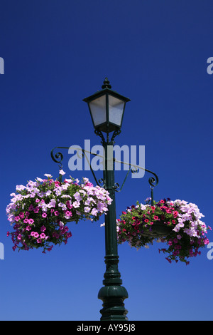 Flower vases decorating the streets of the town of Nordeste. Sao Miguel island, Azores islands, Portugal Stock Photo