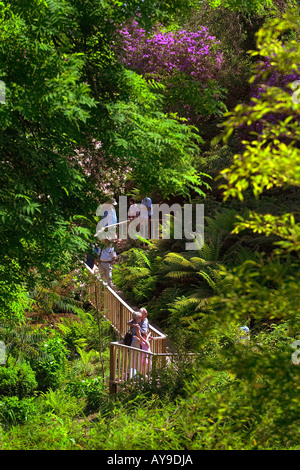 The Lost Gardens of Heligan near Mevagissey in Cornwall England Stock Photo