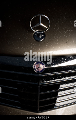 Mercedes Benz E Class 6.3 AMG badge Stock Photo