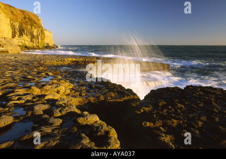 Dancing Ledge at Sunset and Wave Breaking Over Dancing Ledge in Dorset county England UK Stock Photo