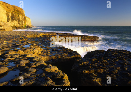 Stood On Dancing Ledge While the Winter Sun Sets in Dorset county England UK Stock Photo