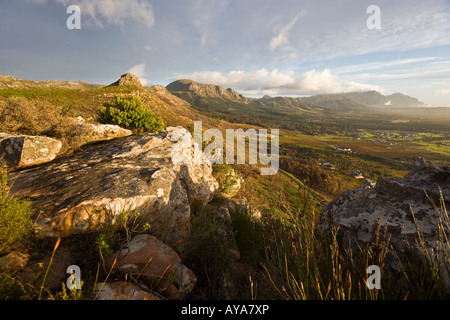 Unique view of the fauna and fynbos from the southern aspect of Table Mountain range in Cape Towm, South Africa Stock Photo