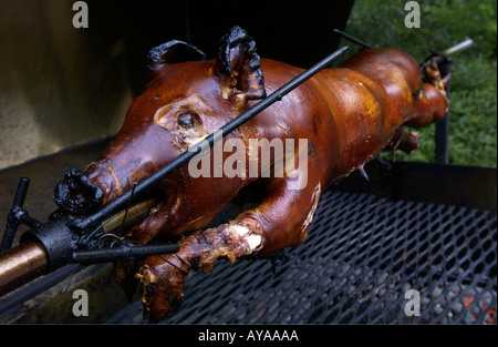 East Hampton NY 072402 A pig being roasted at the home of Ronald and Marianne Galione in East Hampton Wednesday evening by Karl Vanston owner of Stuarts Seafood Catering in Amagansett NY Stock Photo