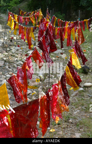 Girona flower festival 'Temps de flors', held in May each year, Catalonia, Spain Stock Photo