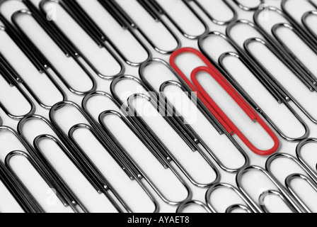 Paper Clips Organised Into Rows with One Red Clip Standing Out from the Crowd Stock Photo