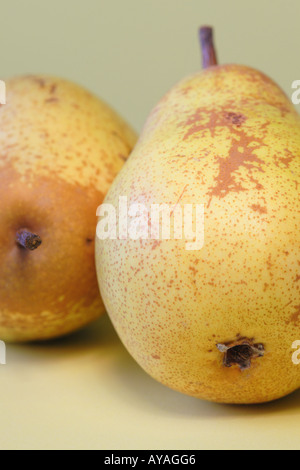 Pears Stock Photo
