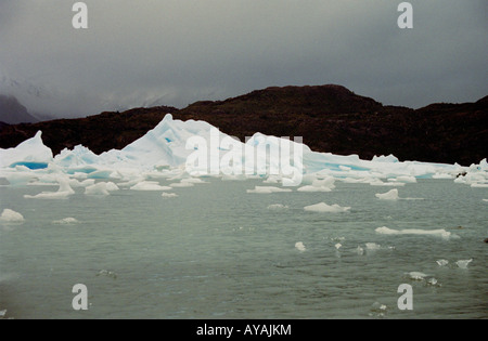 Floating ice on Lago Grey, Torres del Paine National Park, Chile Stock Photo