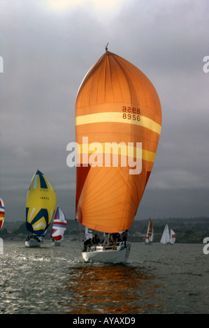 Sailboats Orange Spinnaker Set Stock Photo