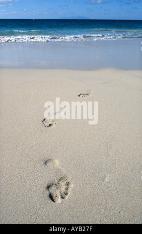 Footsteps in the sand Stock Photo