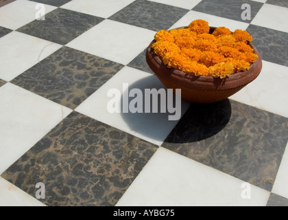 Marigold flower heads simply floating in a bowl of water on a checker board pattern of marble tiles, Rajasthan, India. Stock Photo