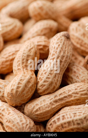 Peanuts in shells. Full frame. Soft light Stock Photo