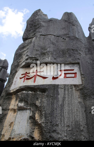 Shilin Stone Forest  in the Lunan Yi Nationality Autonomous County about 120 km from Kunming China Stock Photo