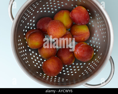 Plums shot with Hasselblad medium format pro camera Stock Photo