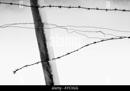 Black and White Snow Scene with Fence Stock Photo