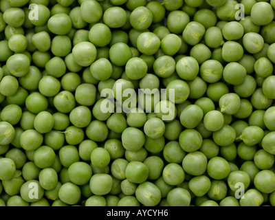 Green peas - high end Hasselblad 61mb digital image Stock Photo