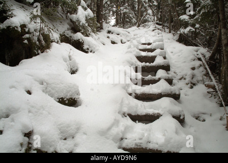 A snow covered wooden staircase, made out of logs, along the Hincks Trail in the White Mountain National Forest of New Hampshire. Stock Photo