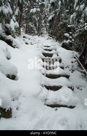 A snow covered wooden staircase, made out of logs, along the Hincks Trail in the White Mountain National Forest of New Hampshire. Stock Photo