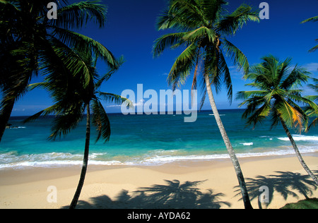 Dominican Republic beach Playa Grande Stock Photo