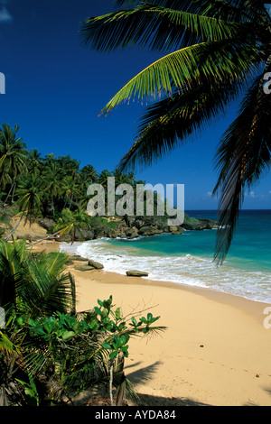 Dominican Republic beach Playa Grande Stock Photo