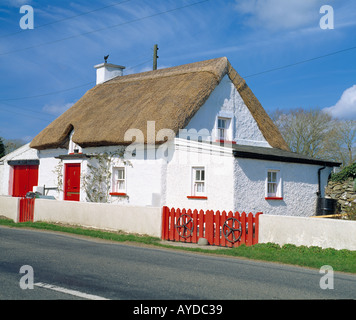 irish traditional roadside thatched cottage Stock Photo