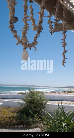 Decorative sea shells and beach in Paternoster on Atlantic coast Western Cape, South Africa Stock Photo