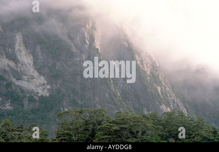 Rock Wall in Mist Milford Sound Fiordland National Park Southland South Island New Zealand Stock Photo