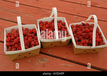 Raspberries Stock Photo